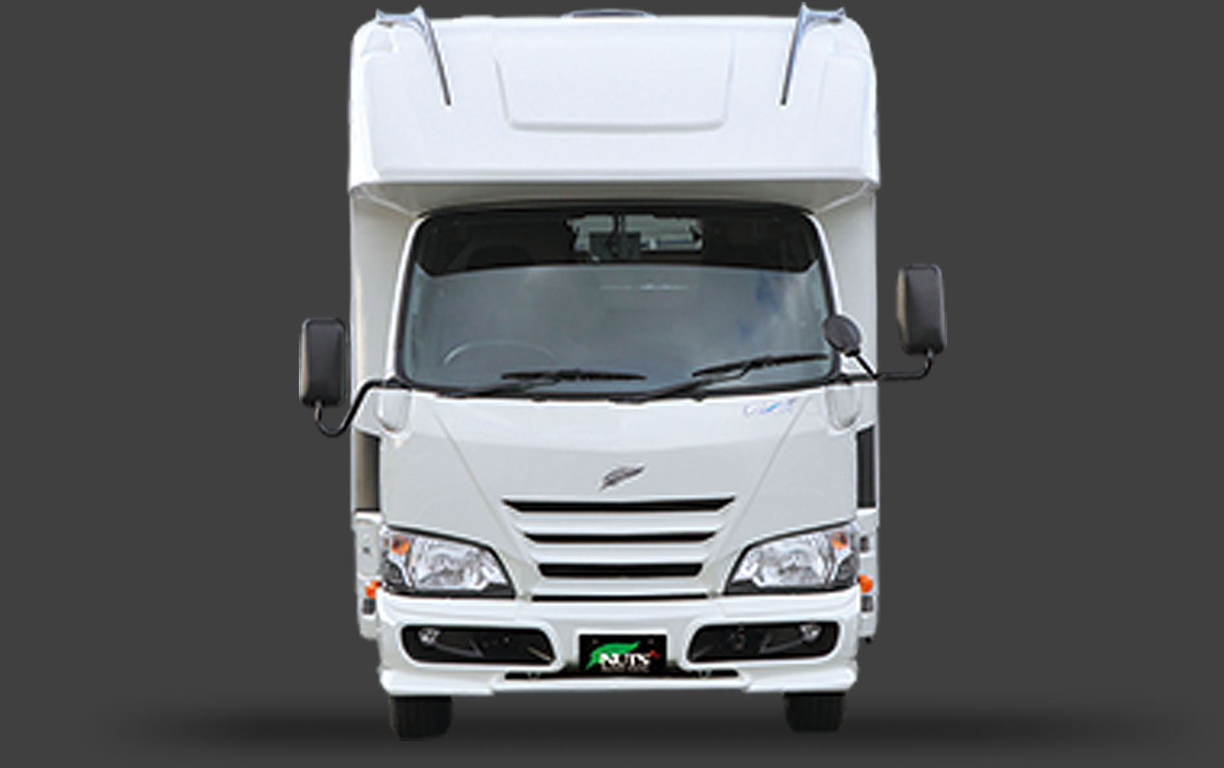 スティング外観2